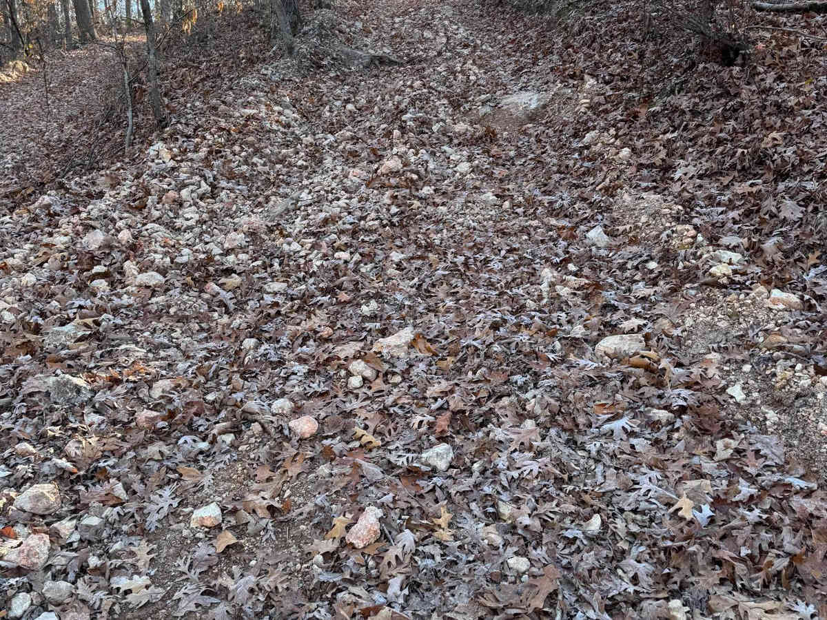 Yellow 213 trail photo