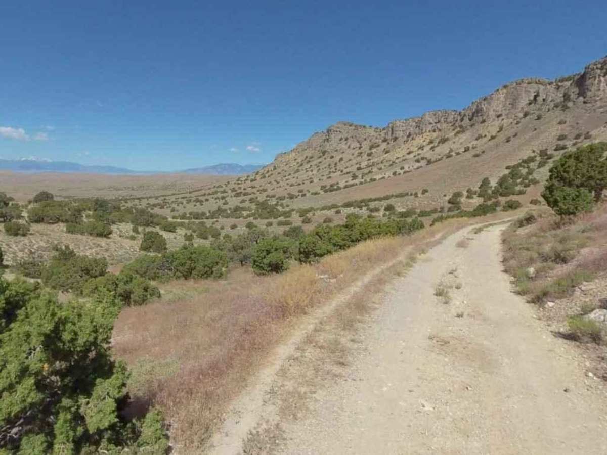 Conger Mountain OHV Route 8 photo 5
