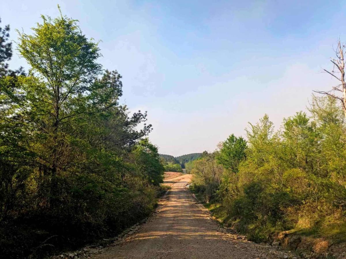 Skipjack Road photo 6