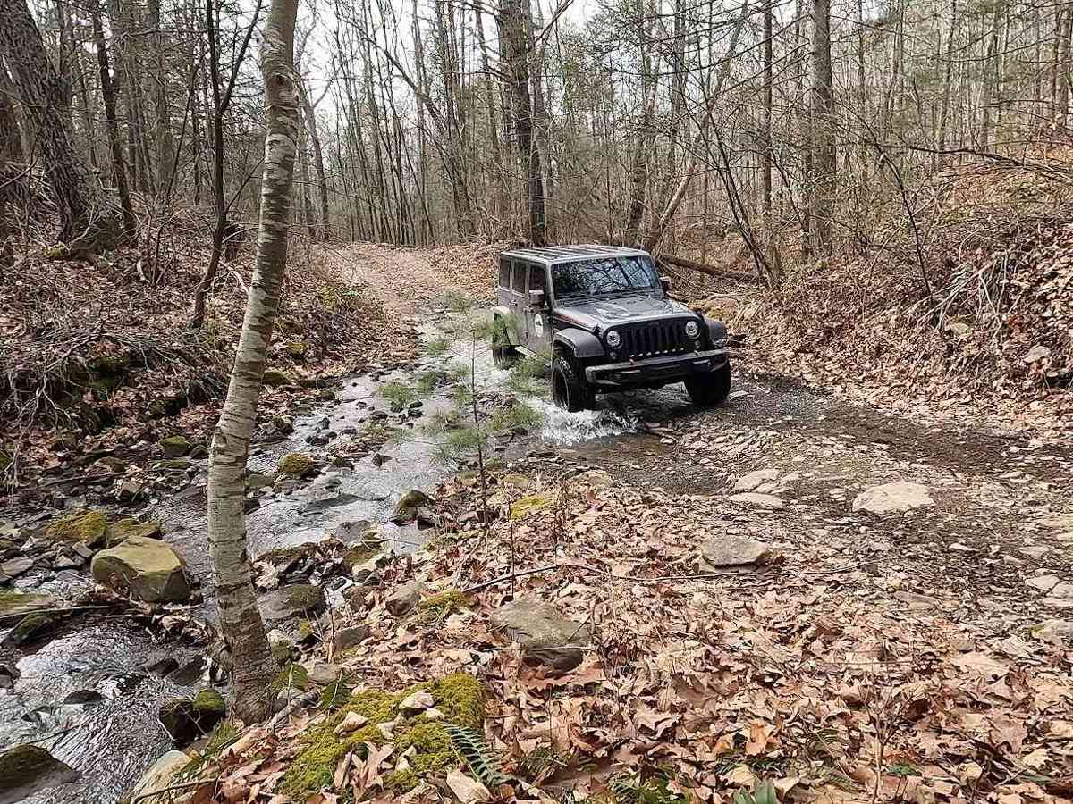 Stoney Run photo 2