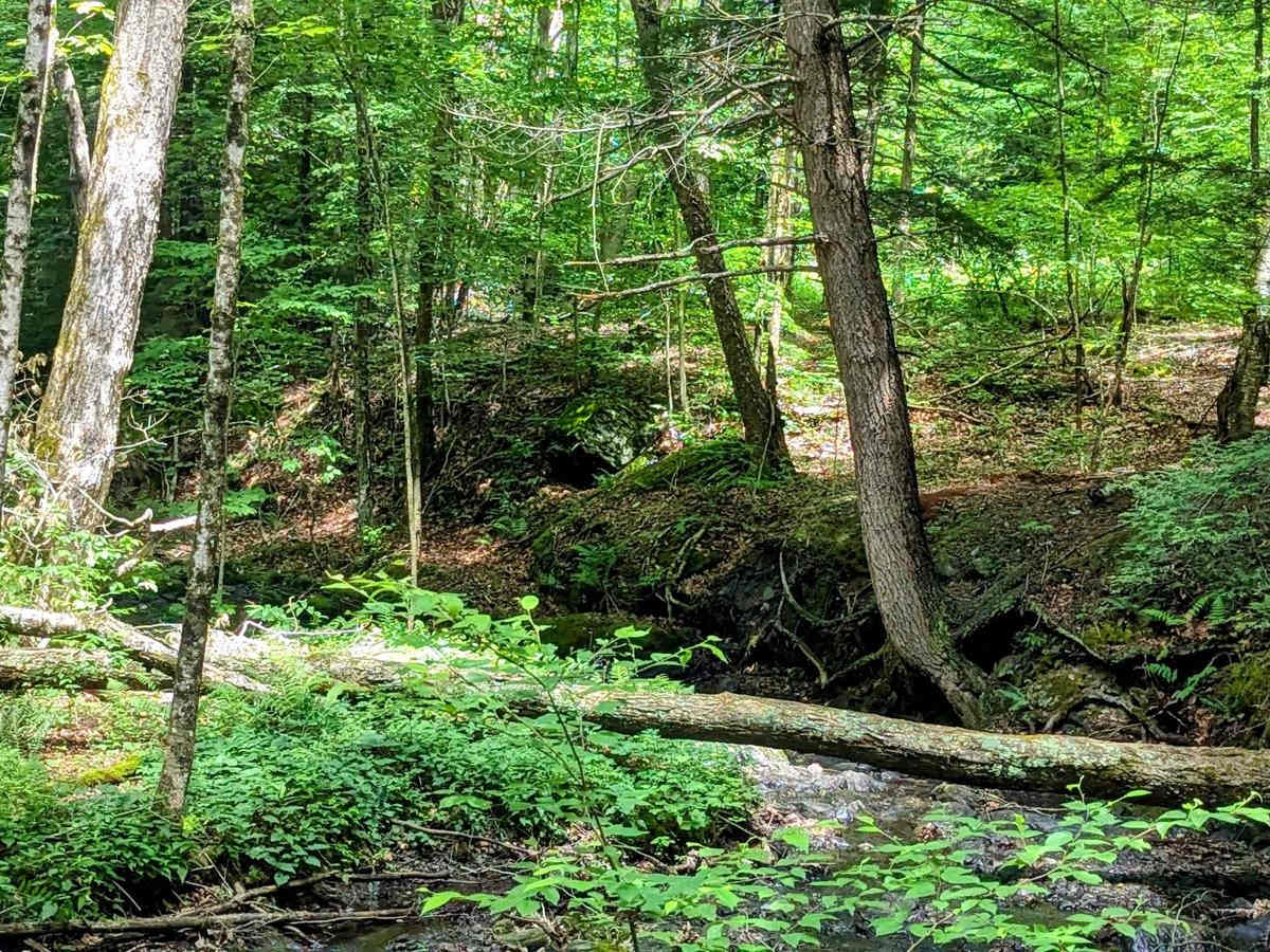 Greylock Road photo 3