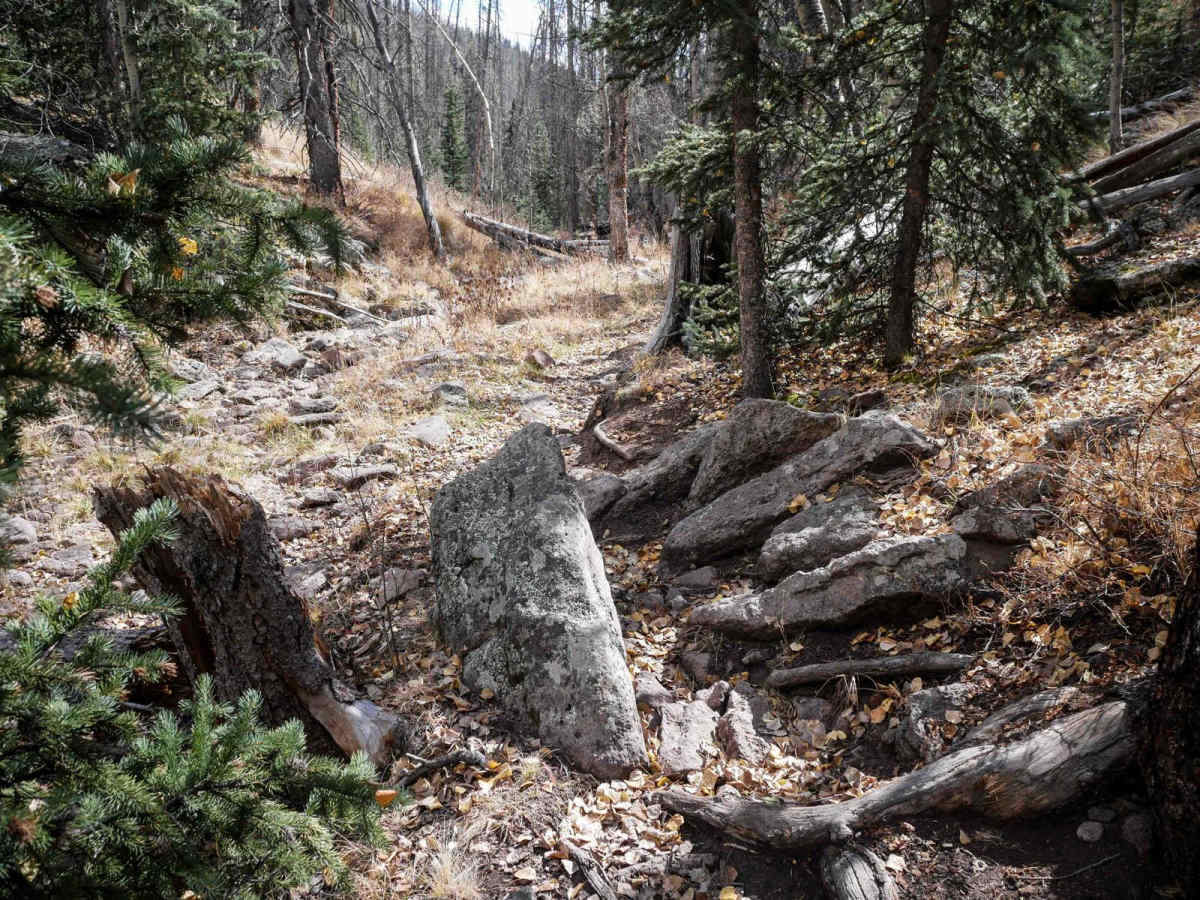 West Alder Trail - 798 photo 5