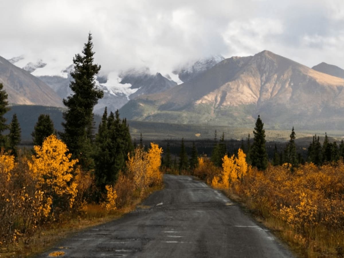 North Canol trail photo