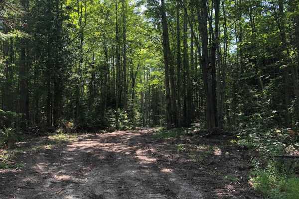 Vermeersch Trail