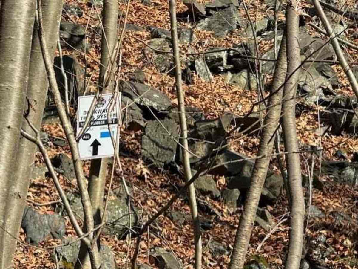 Darkwater 61 trail photo