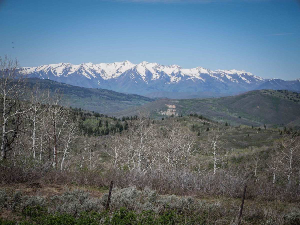 ATV Private trail photo