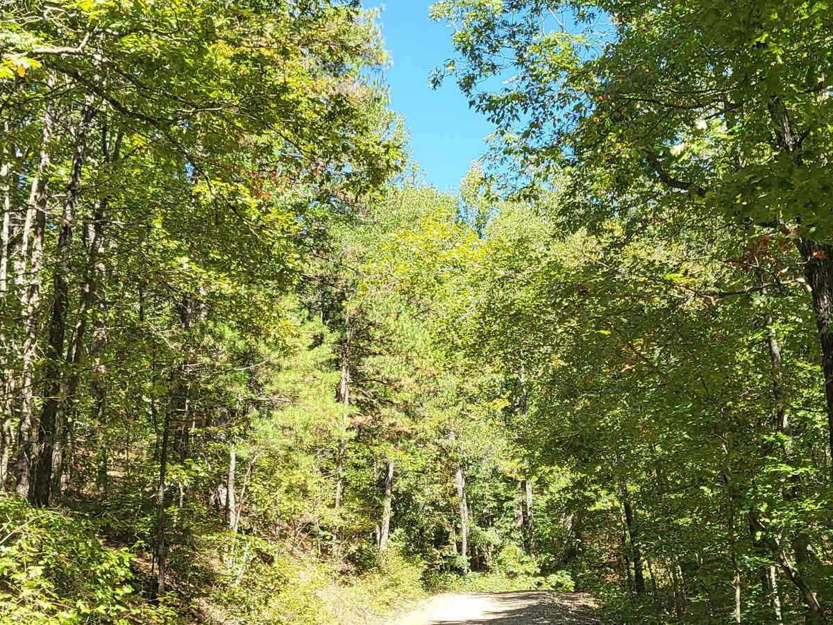Big Athens Fork photo 5