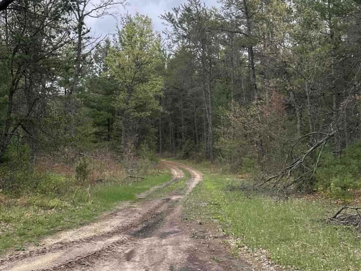 FS 2172 trail photo