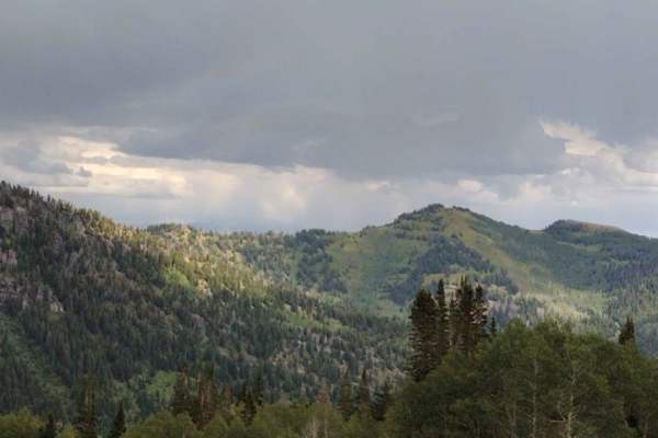 Miller Hill