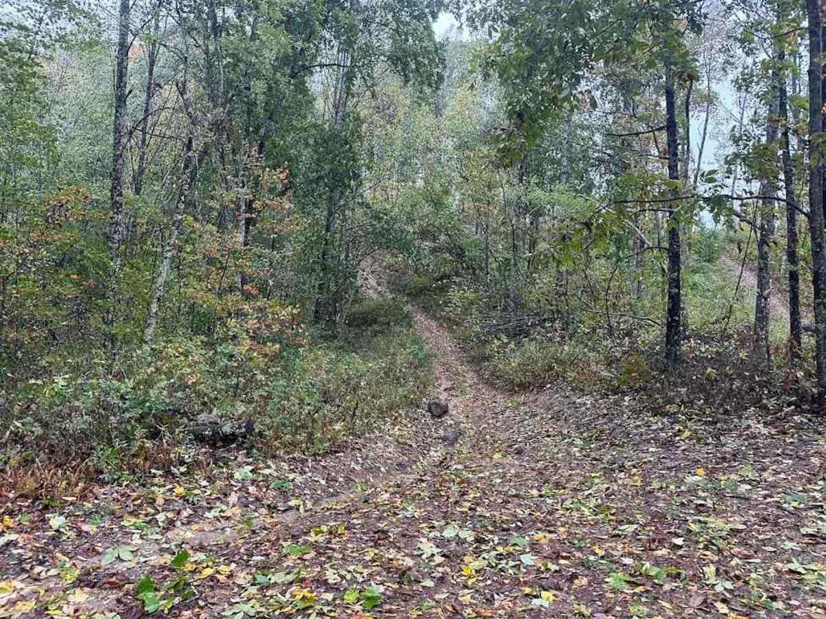 16 Green trail photo