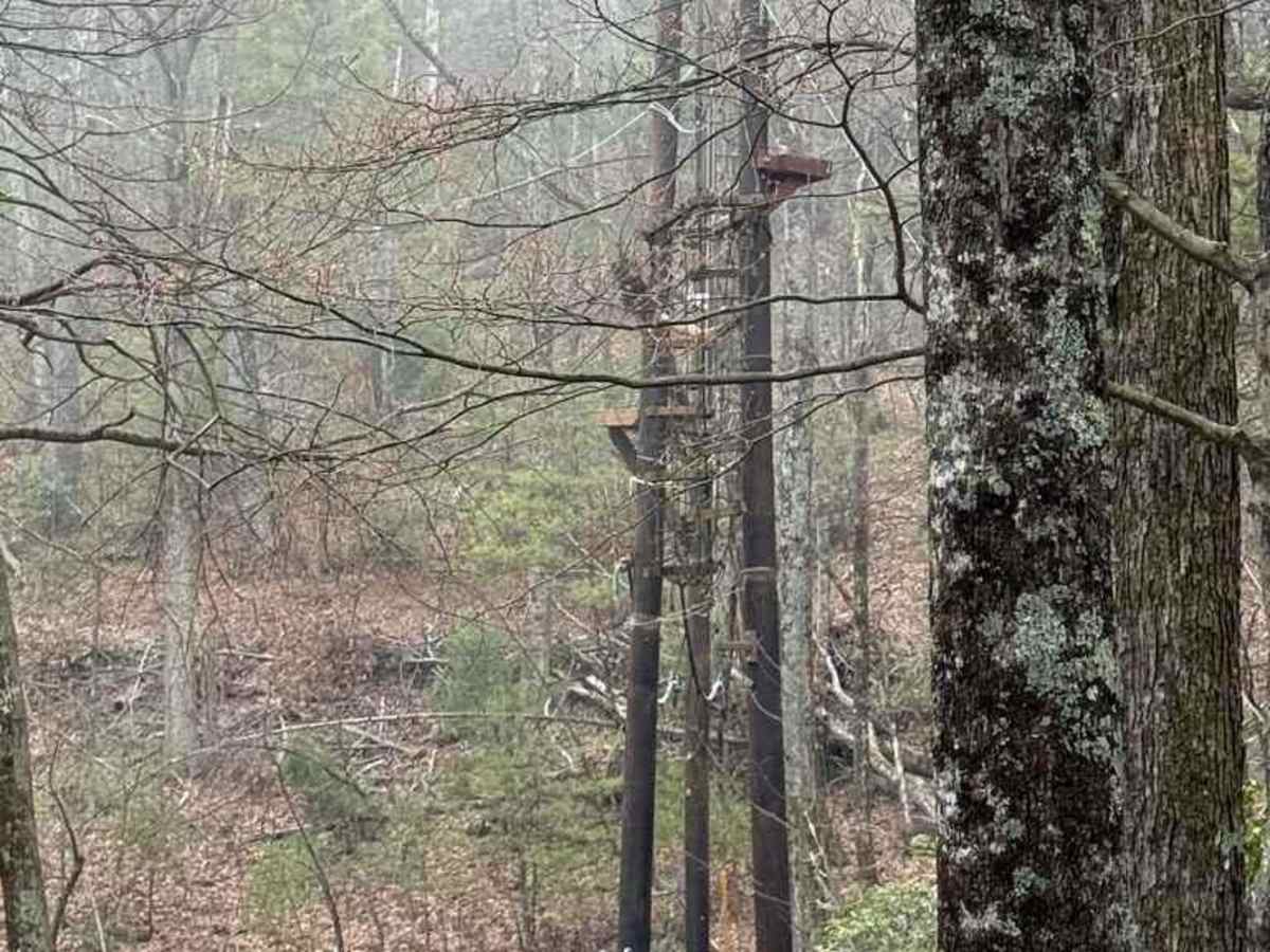 North Carolina Outward Bound School Road photo 4