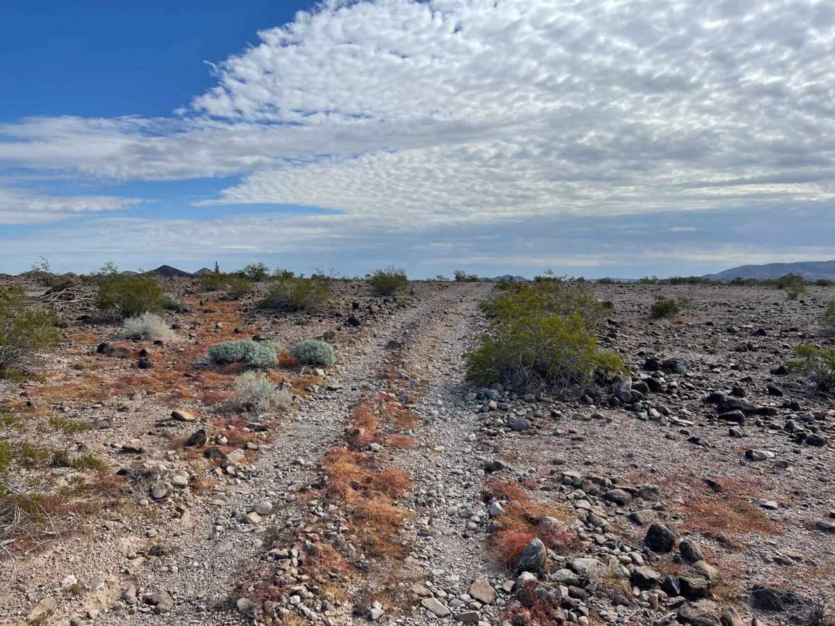 Coyote Mine Road photo 5