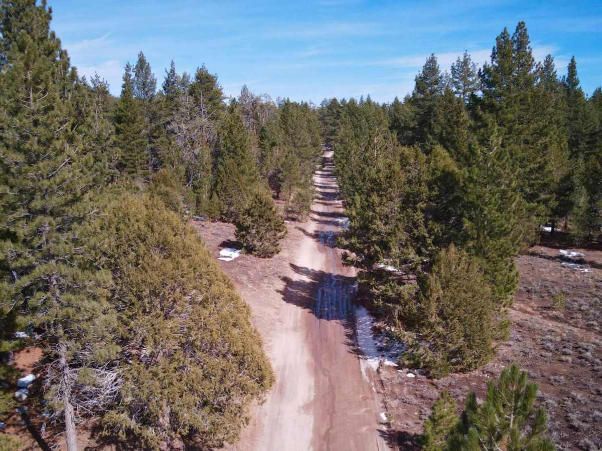 Holcomb Valley - 3N16 photo 2