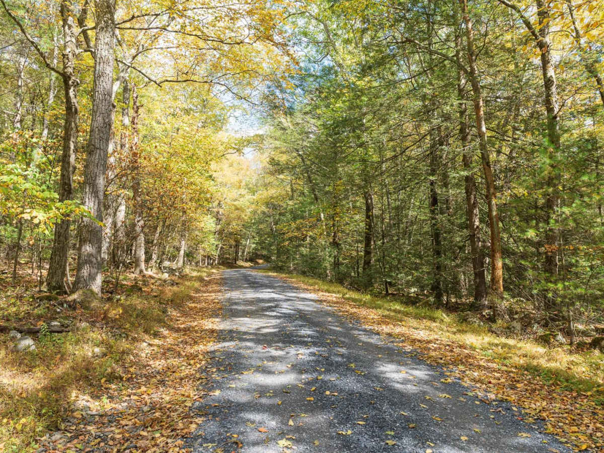 Rag Hollow Road photo 4
