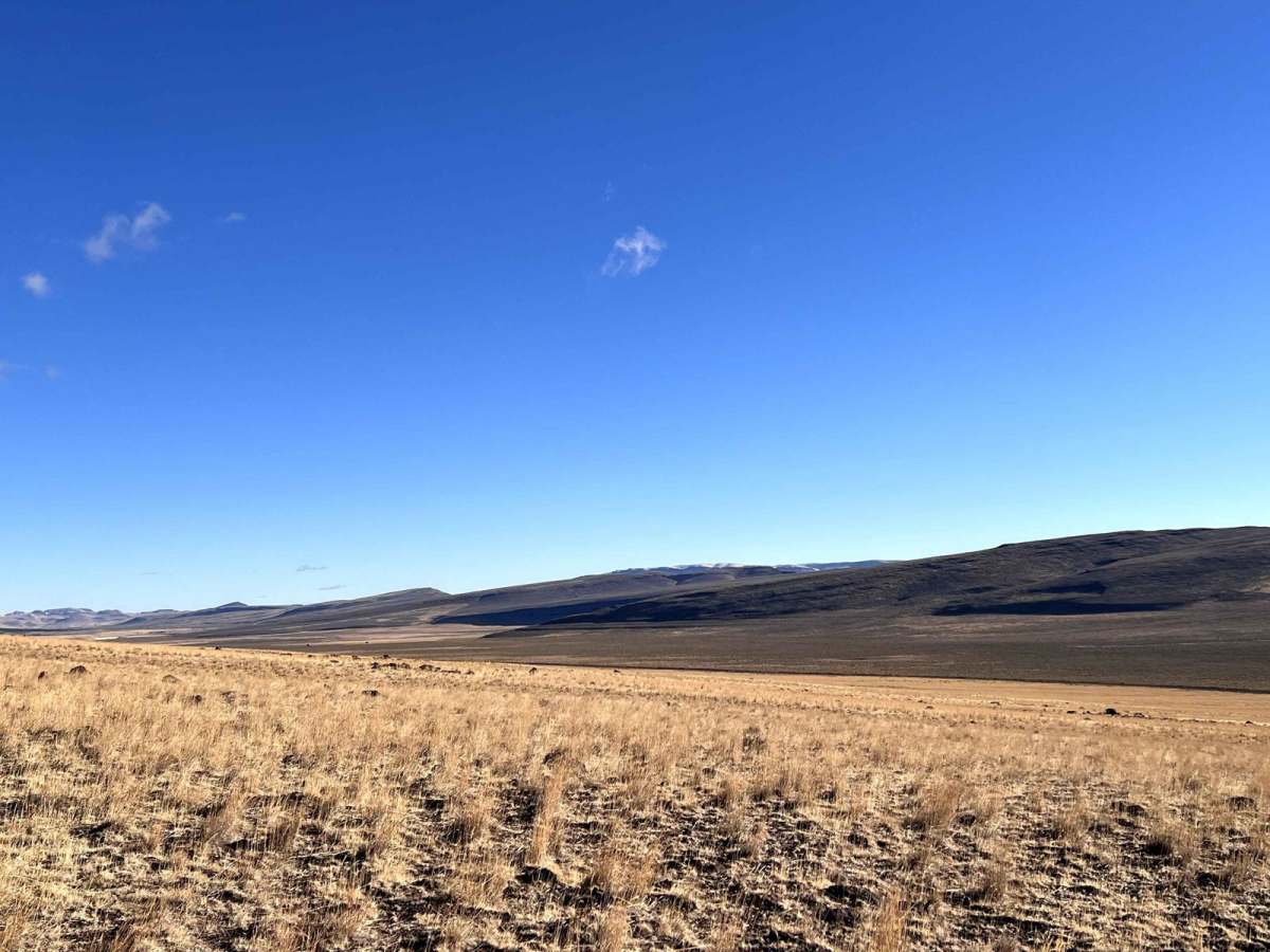 Antelope Crossing photo 6