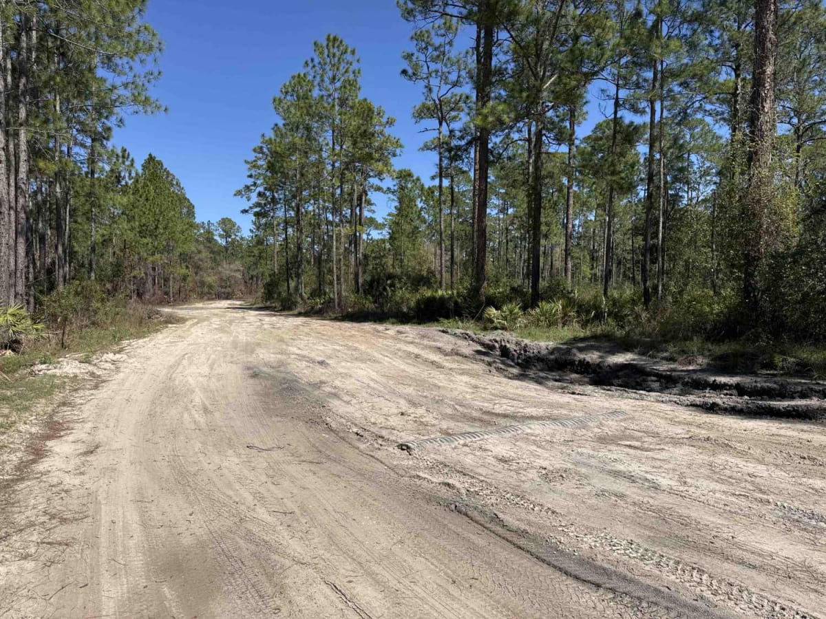 Black Water Creek - ONF 61 photo 5