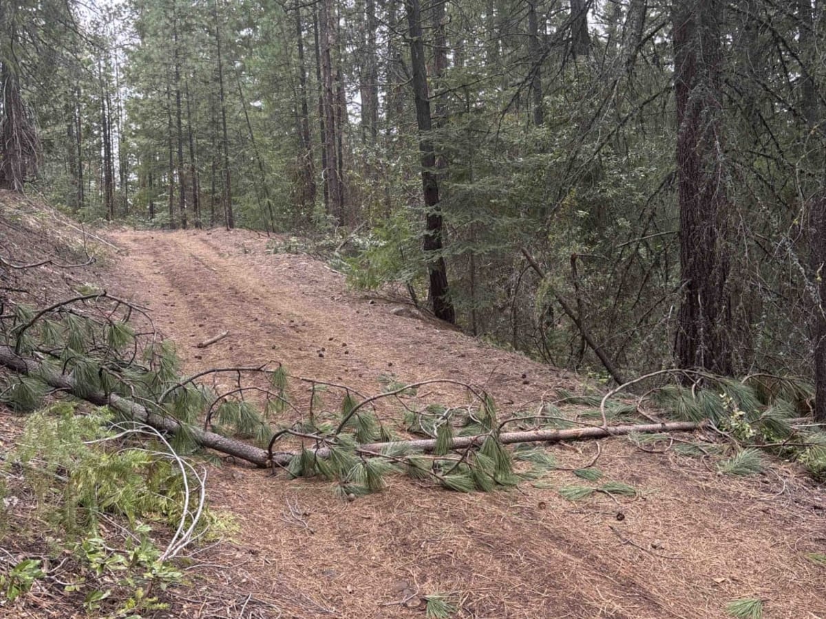 Lower Butte Loops Trail photo 3