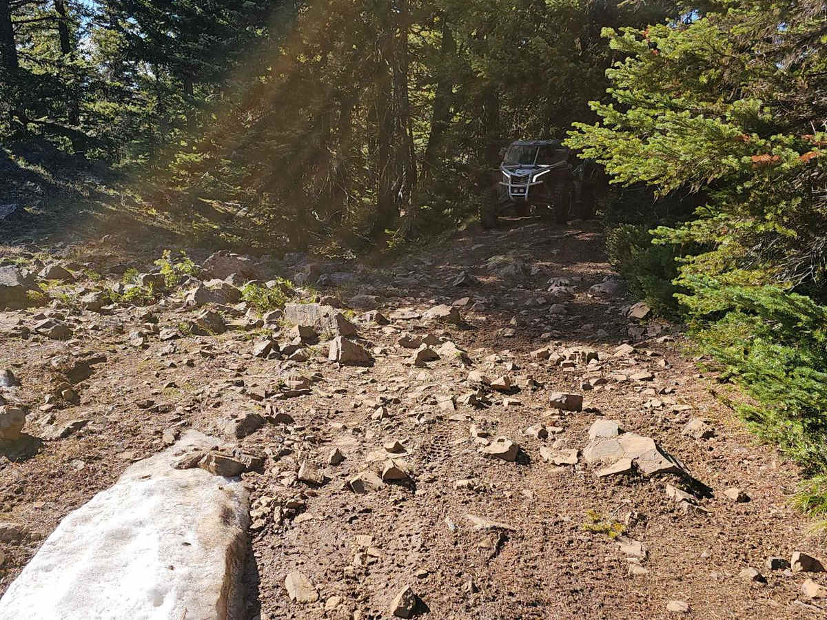 4W310 Frost Mountain photo 3