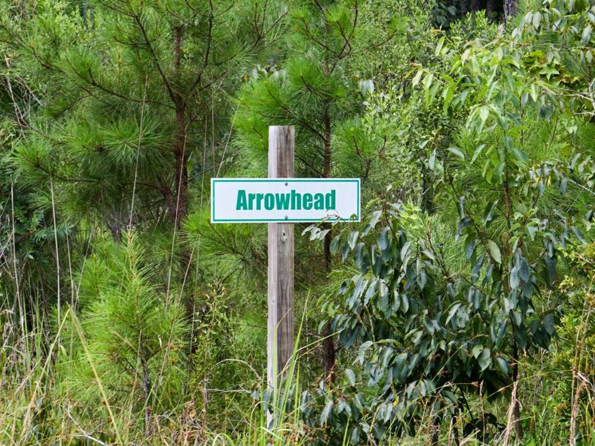 Arrowhead Road trail photo