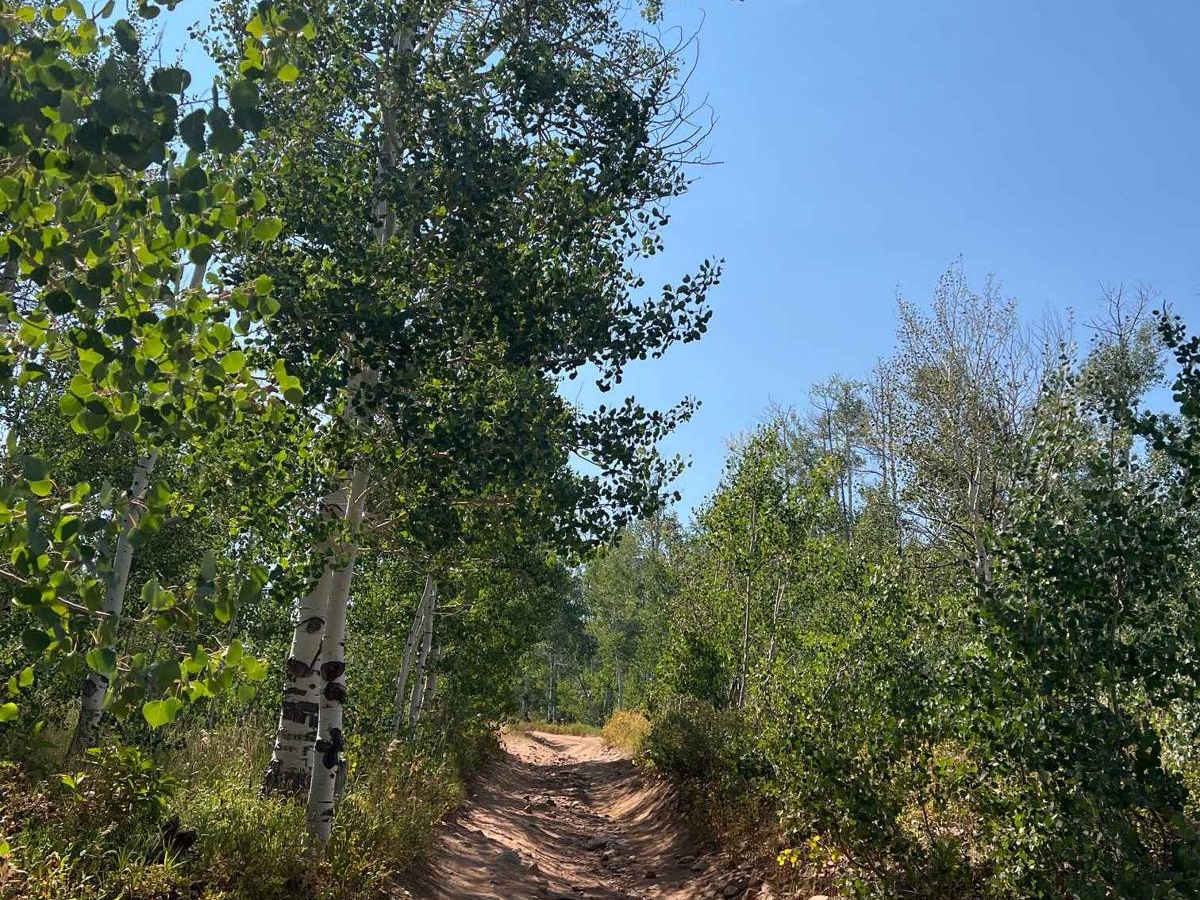 Arthur's Fork photo 5