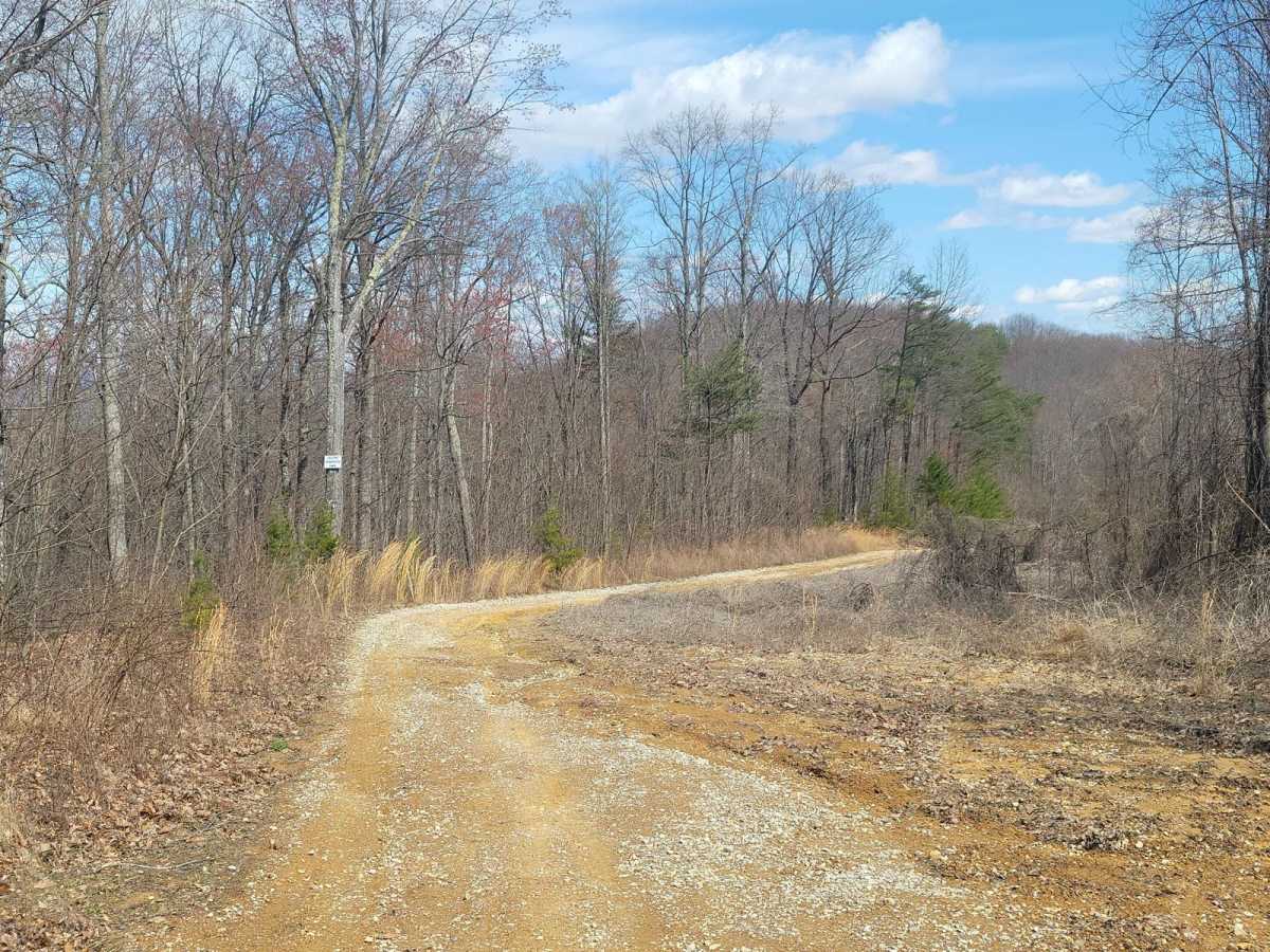 G58 - Cambria Hollow photo 4