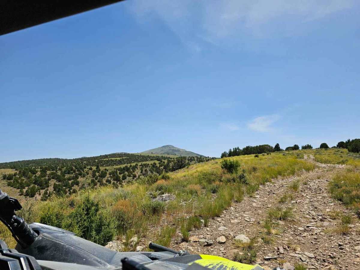 top of the hill photo 5