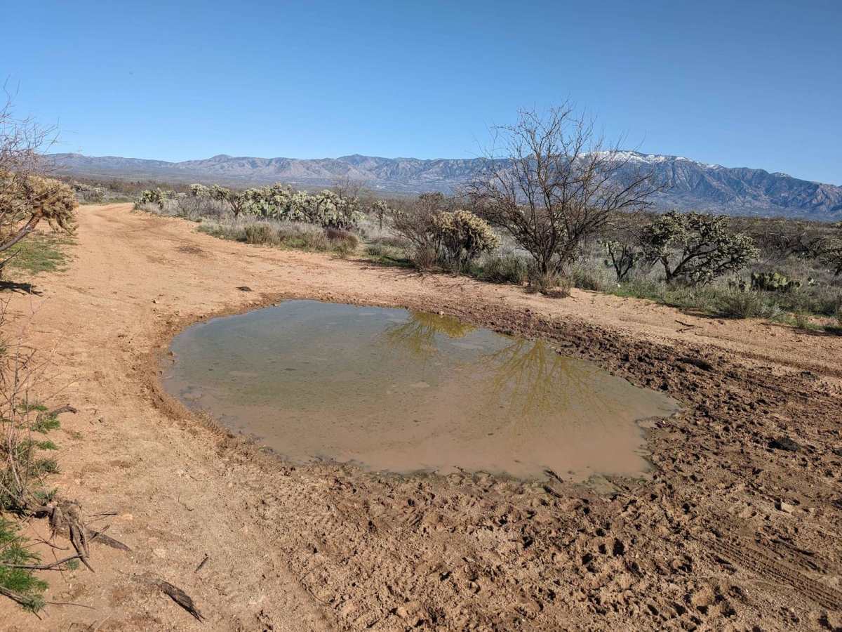 East Cochie Spring Trail photo 5