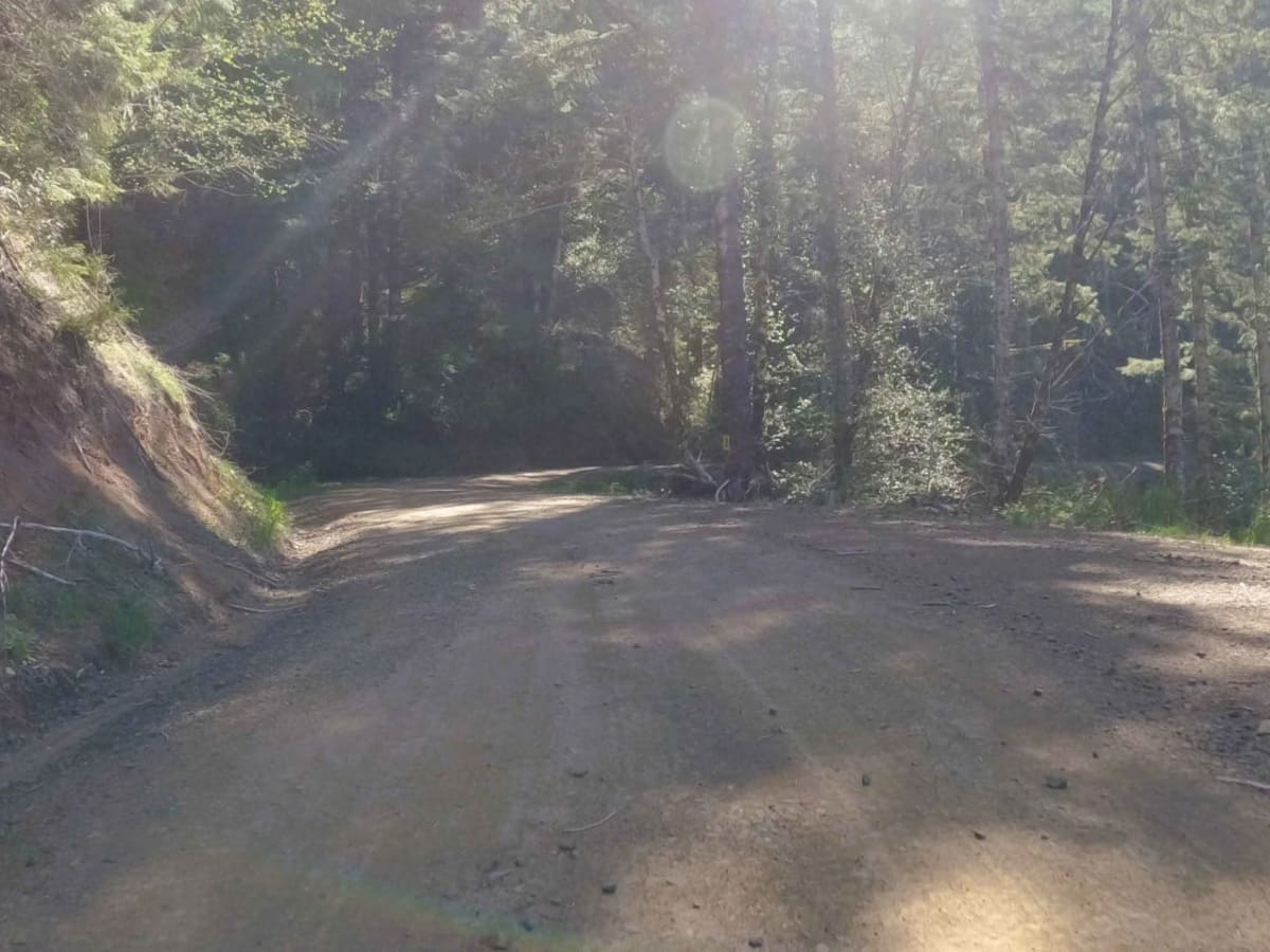 Cedar Butte Road photo 4