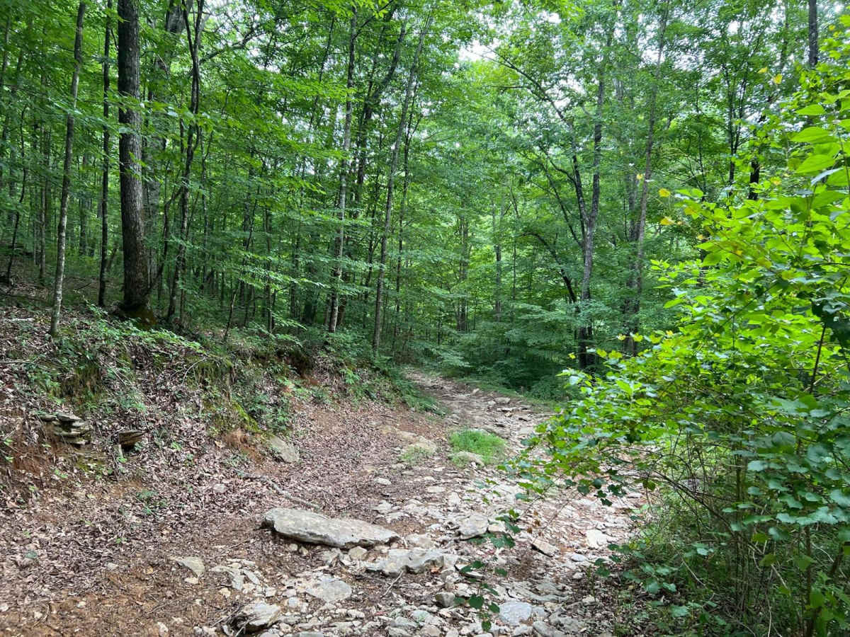 Betsy Gap Trail photo 3