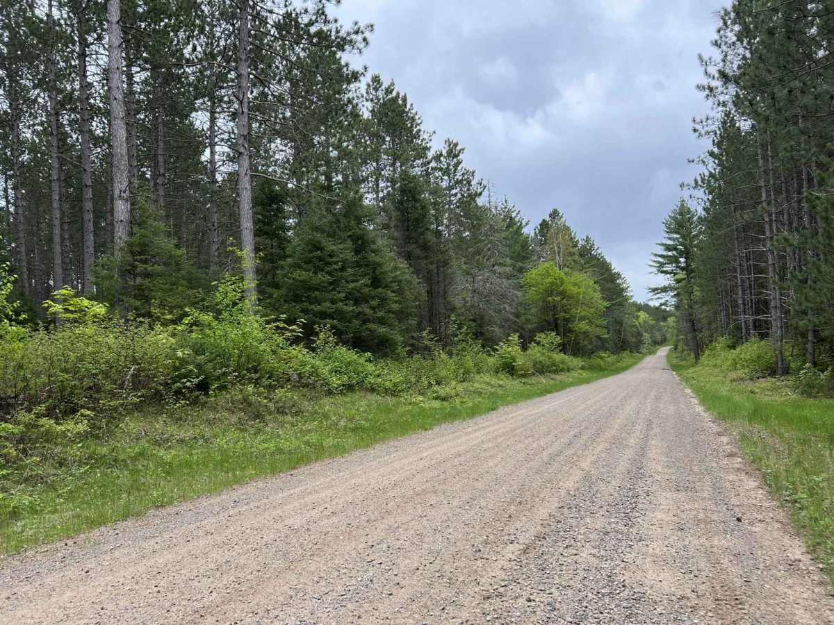 McArthur Pine FR 2167 photo 3