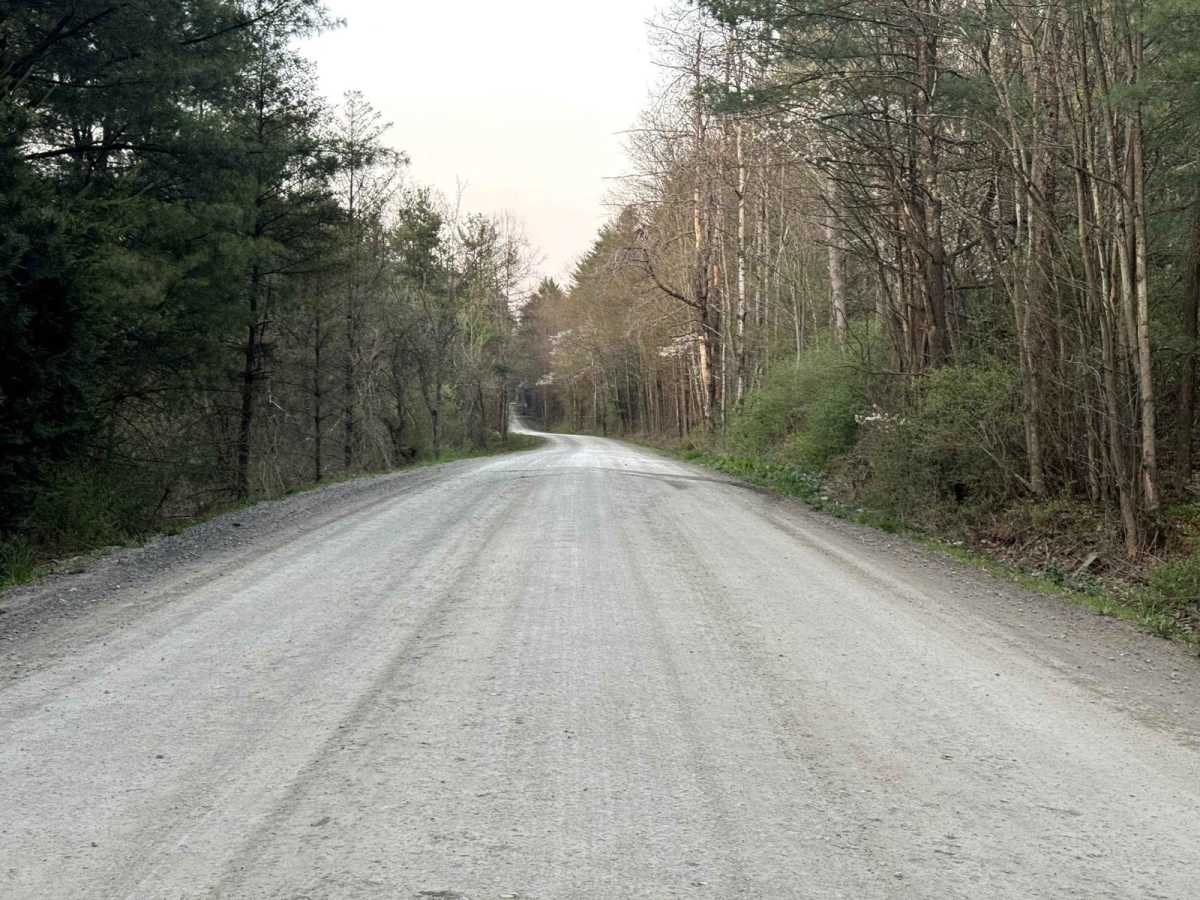 Brinton Road to Lyons Road trail photo
