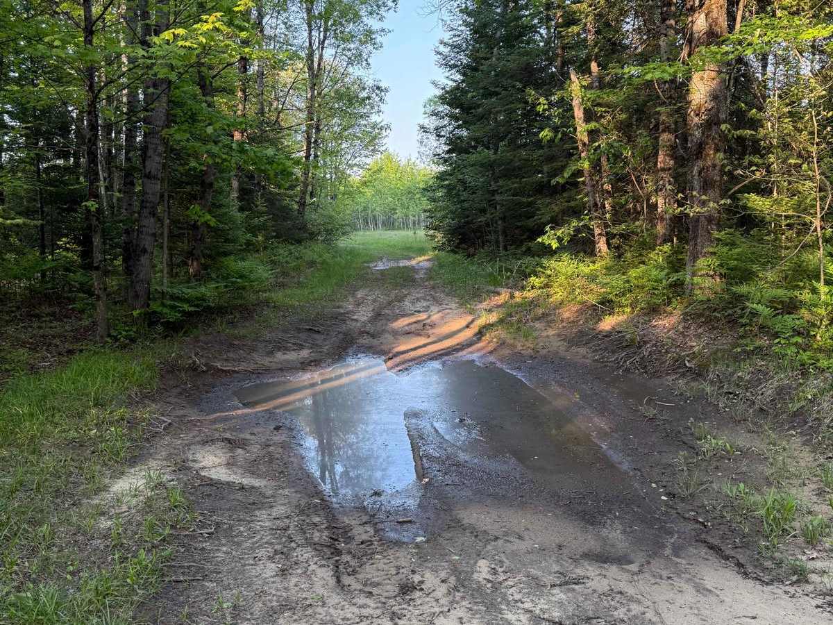 N-33 Trail photo 5