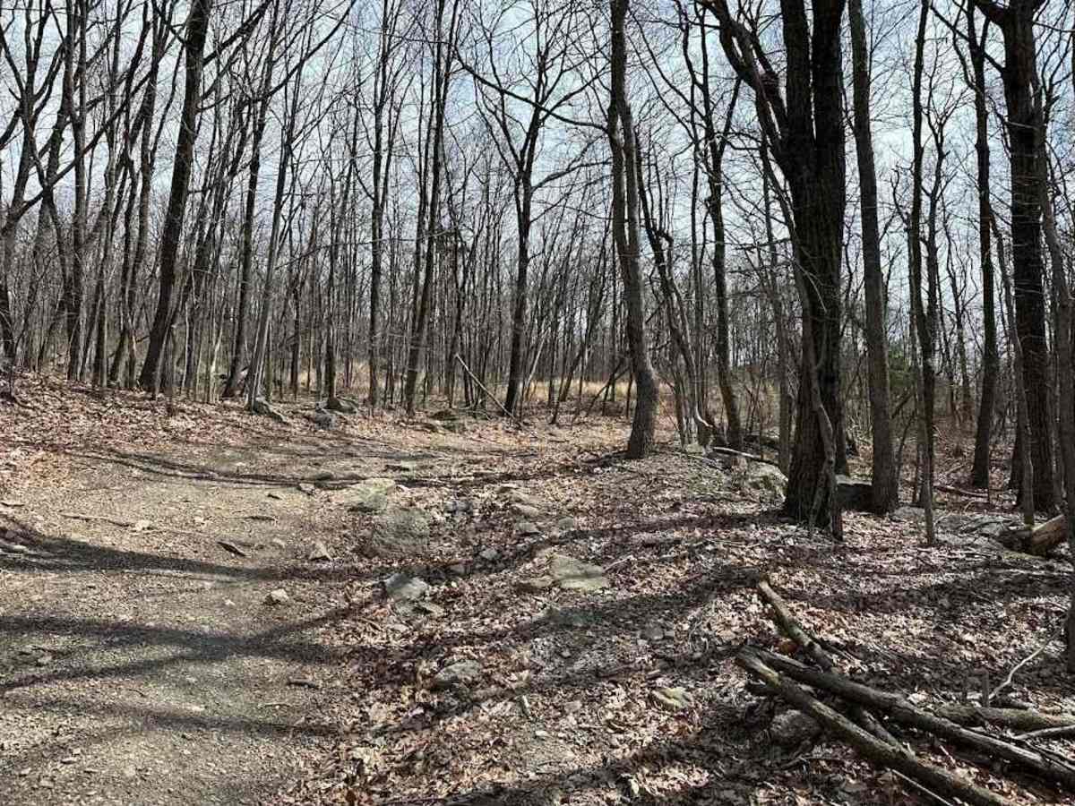 St. Keirns 37 trail photo