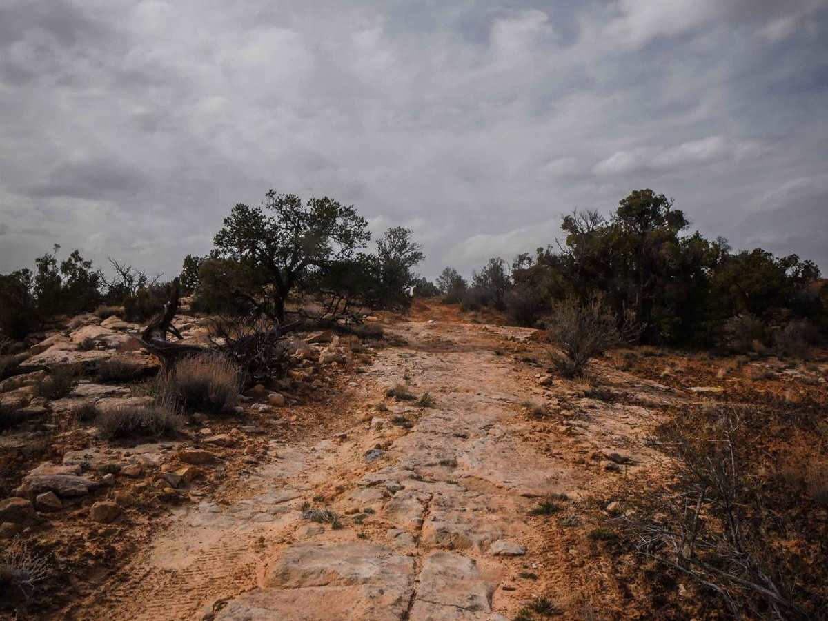 Butler Wash photo 6