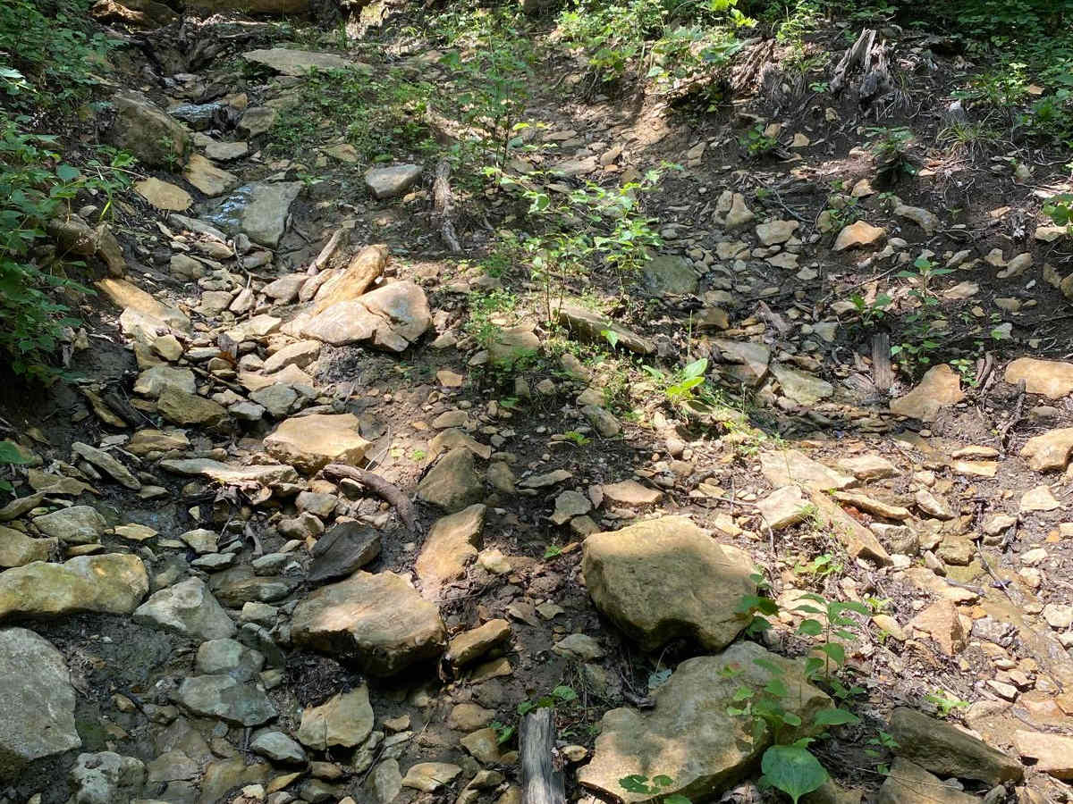 Drop Off photo 2
