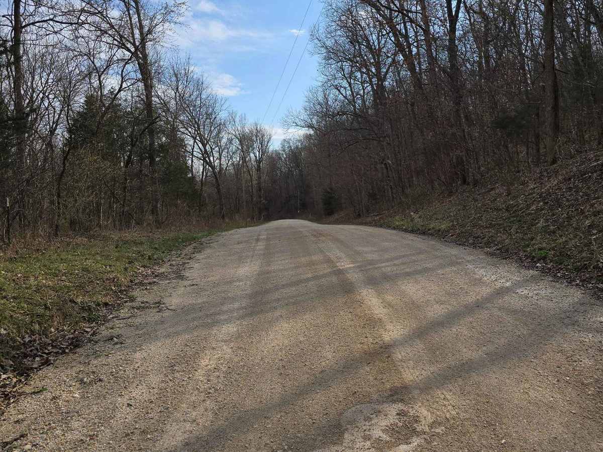 Lost Creek Road photo 4