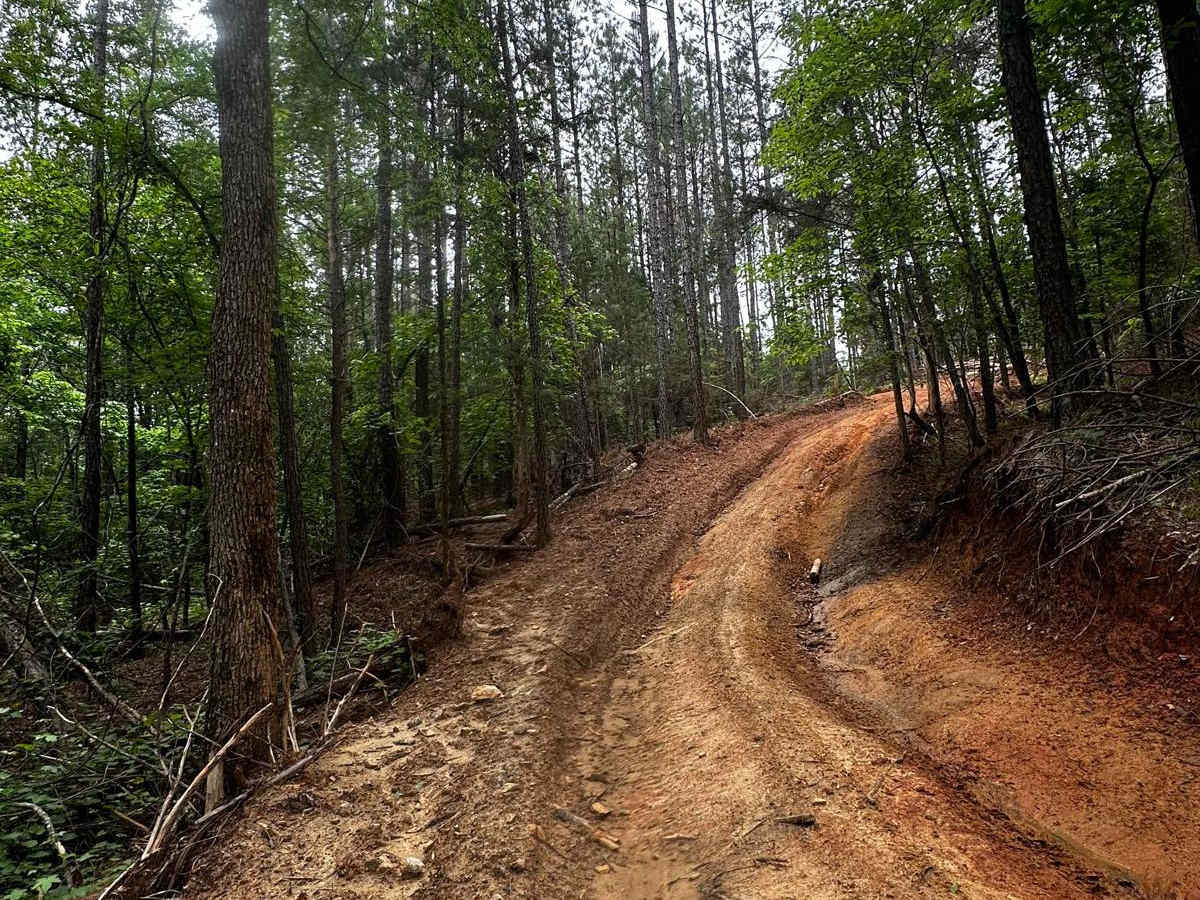 Trail 43 photo 3