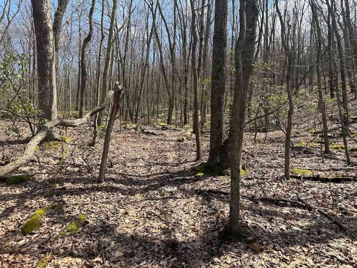 Ashland 124 photo 2