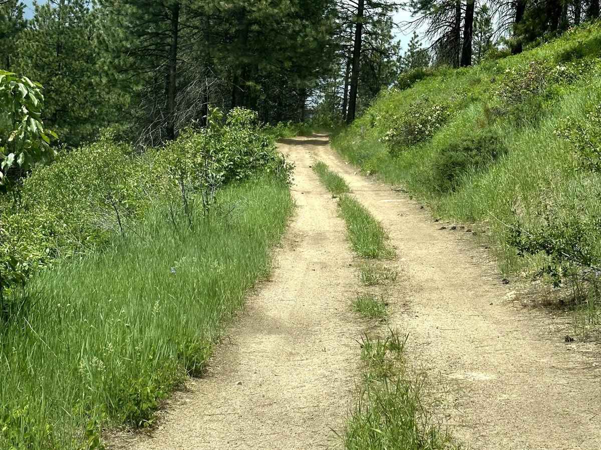 Missouri Mine Trail photo 6
