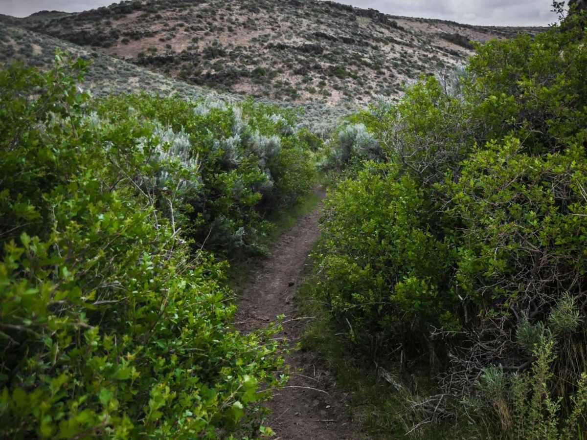 Lower Dry Gulch photo 4