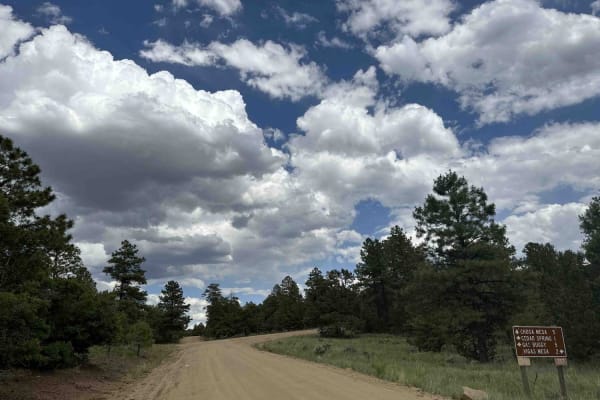 Cedar Springs Loop