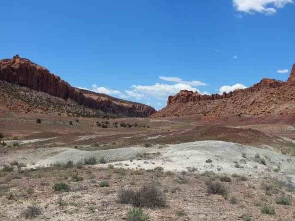 Wolverine Loop Road - 0640 photo 3