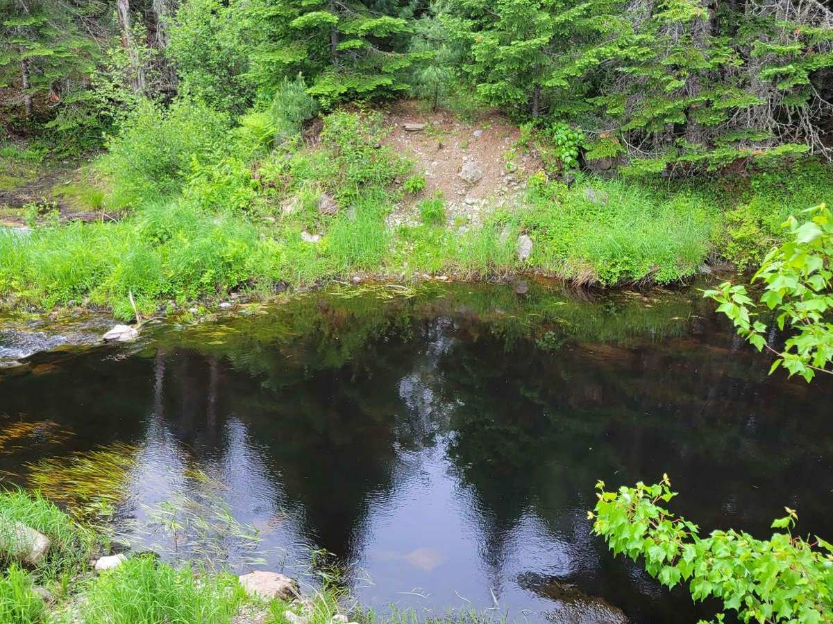 Buffalo Stream East photo 2