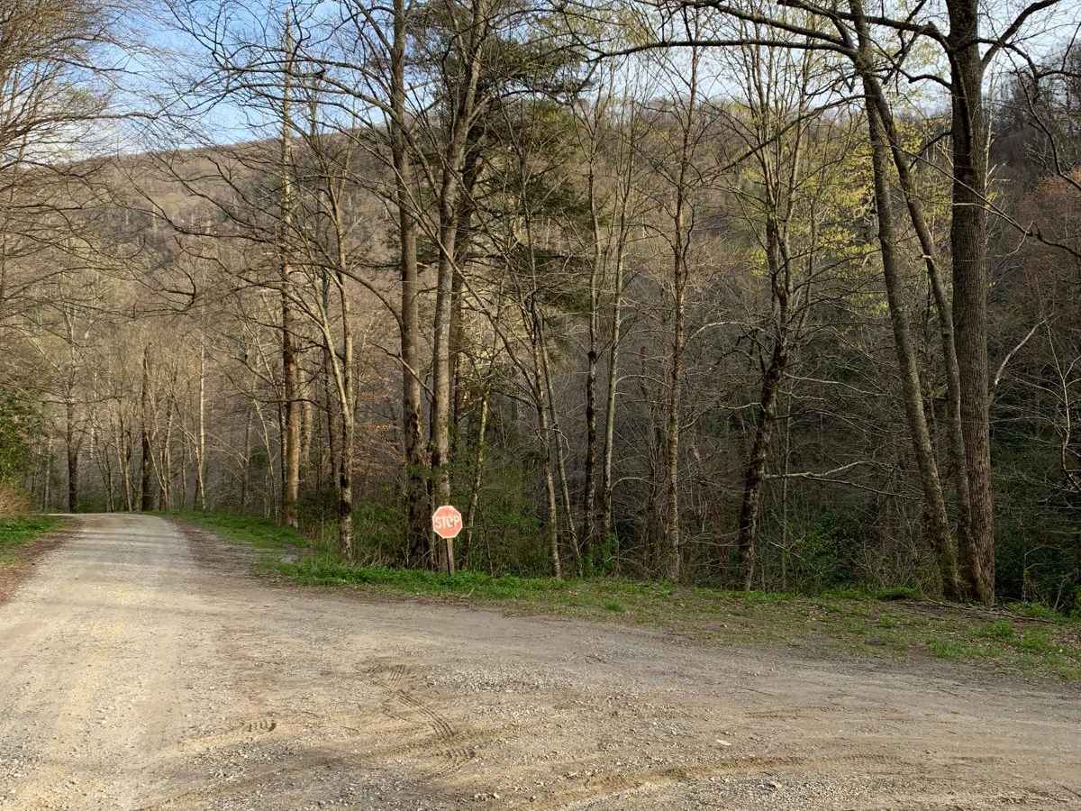 North River Rd to Upper Santeetlah - 81 photo 3