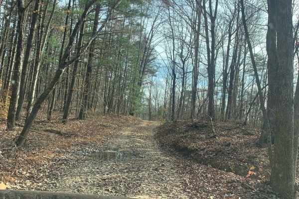 Dry Branch Road
