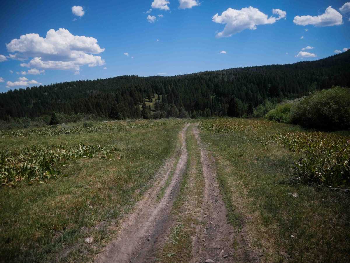 Bailey Ridge #3118  photo 4