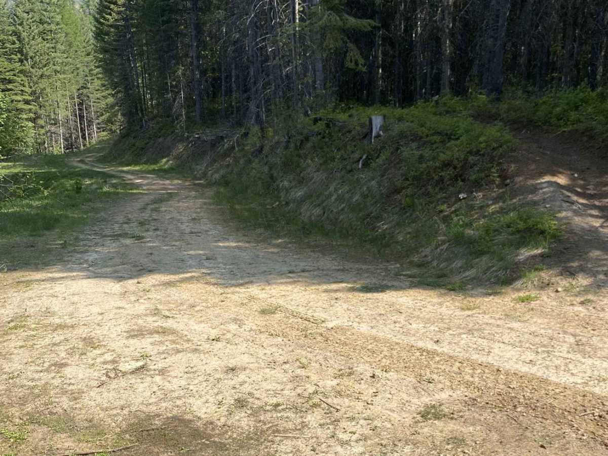 Palouse OHV Excavation Gulch - Akers trail photo