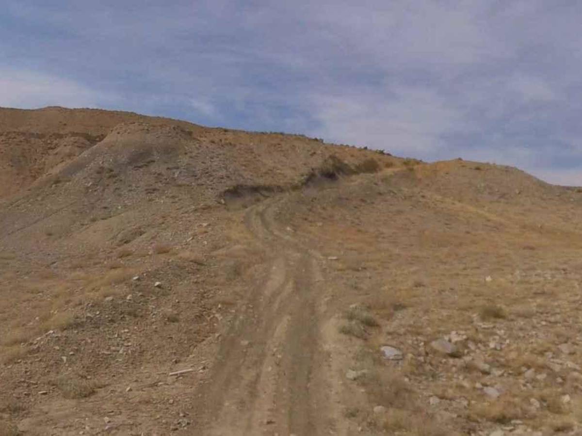 BLM13040 photo 6