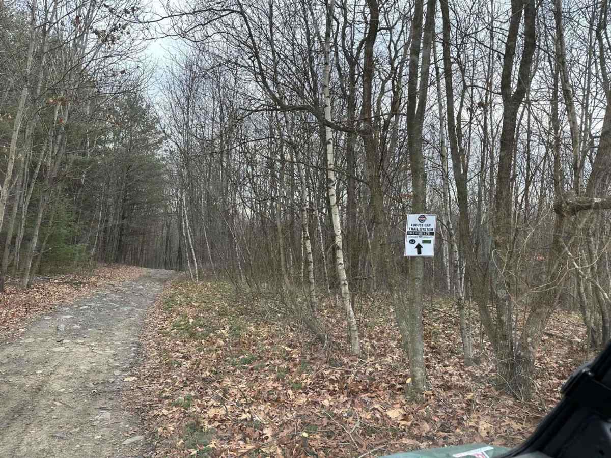 Locust Gap 78 photo 5