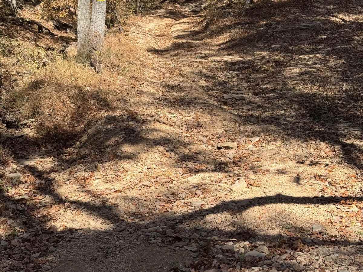Red 68 trail photo